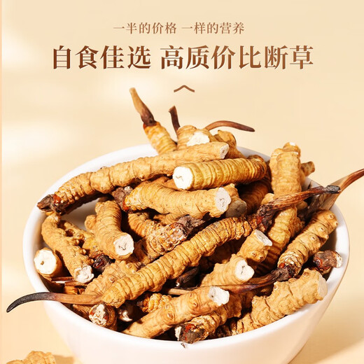 Authentische tibetische hohe Höhe Cordyceps sinensis gebrochenes Gras Ganzfleischfest 10 g große Flaschen für Hausgebrauch Trockenwaren Authentische Produkte Tibet Nagqu Ganzfleischfest 20g [2g kostenlos]