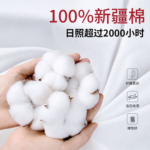 回力短袖男夏季t恤男纯棉透气打底衫圆领吸汗上衣潮流休闲男装灰色XL