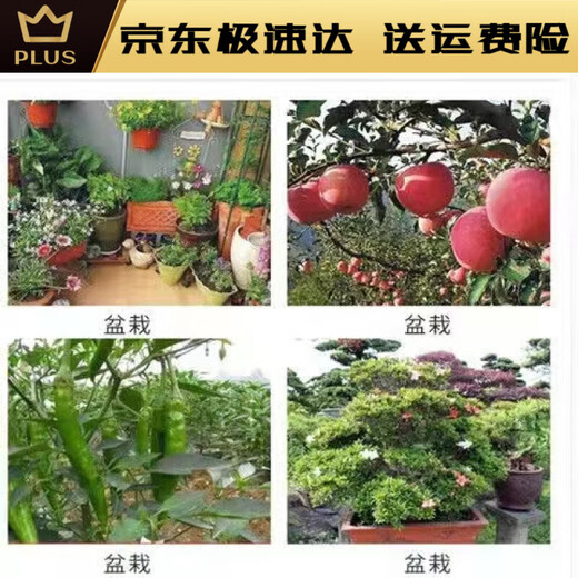 Agricultural Ammonium Bicarbonate Fertilizer Ammonium Bicarbonate Pure Nitrogen Fertilizer Agricultural Compound Fertilizer Urea Easy to Absorb Vegetable Fertilizer 0g 0 Bag Ammonium Bicarbonate Fertilizer 10 Jin Jin is equal to 0.5 kg