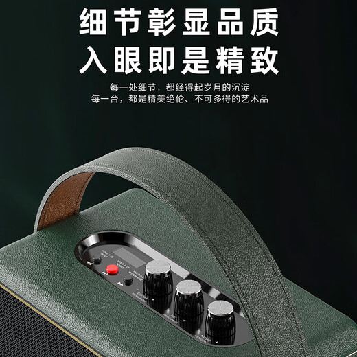 Malata (Malata) 9212 outdoor Bluetooth square dance electric acoustic guitar bass folk singing instrument speaker musical instrument singing speaker