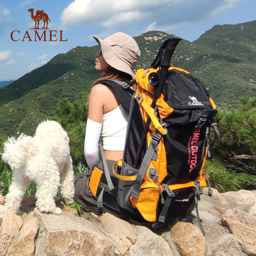骆驼（CAMEL）登山男女户外徒步露营双肩背包大容量多功能旅行7S3AC3034A黑色