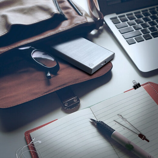 希捷（SEAGATE）移动硬盘 USB3.0 希捷铭加密硬盘1T/2T/4T/5T 2.5英寸 机械移动硬盘 拉丝金属外观 【新铭】数据恢复 硬件加密 银 2TB