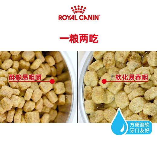 ROYAL CANIN Royal Dog Food PDA26 Poodle Teddy Old Dog Food-Age 8+ Full Price Food [>8 Years] PDA26 Poodle Old Dog 3KG