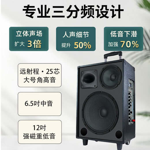 European and American sound 263 outdoor audio karaoke special all-in-one machine with sound card professional three-way singing high-power portable square dance Bluetooth trolley speaker with wireless microphone 12 inches 12 inches/263+2 microphones + spree