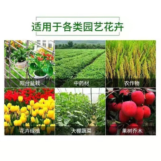 Compound fertilizer urea phosphate fertilizer potassium fertilizer flower fertilizer flower potted vegetables and fruit tree fertilizer universal nitrogen, phosphorus and potassium general upgraded formula compound fertilizer 5Jin Jin equal to 0.5kg
