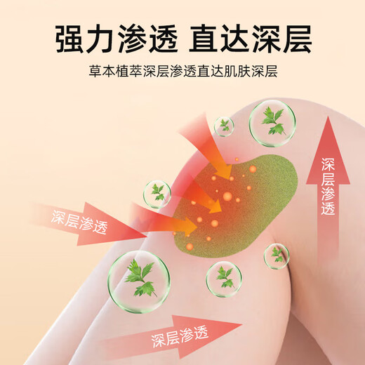 Tong Ren Tang Beifuß-Kniepflaster, gesundes Moxibustionspflaster, Kniegelenk-Beifuß-Patch, 12 Pflaster/Box