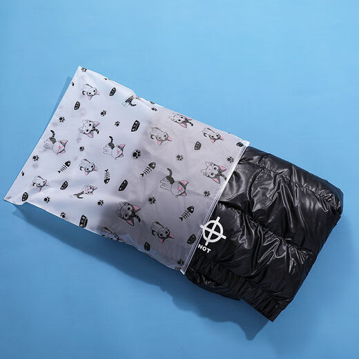Ropa de almacenamiento de viajes ropa interior de acabado portátil de acabado portátil troncal mate de paquete portátil transparente bolsita sellada sellada sellada tamaño grande 10 piezas