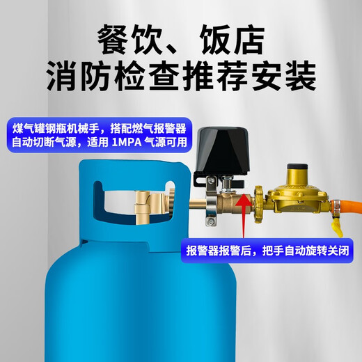 立可安 立可安科技液化气报警器家用丙烷泄露厨房煤气超标声光报警器可燃气体探测器 A款：新国标838液化气丙烷