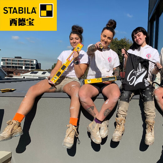 Federsi level high-precision anti-fall and durable stone dry-hanging level 2 installation project three blisters 200CM16284