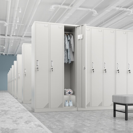 Zuosheng dressing room cabinet, shoe cabinet, cupboard, employee cabinet, locker locker, iron cabinet, bag storage cabinet, twenty-four doors