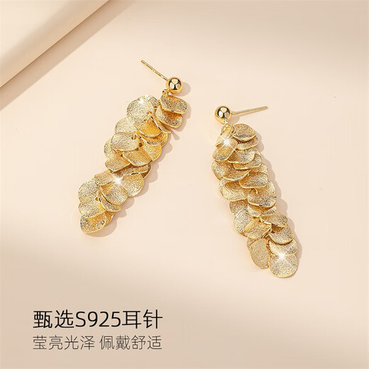 Qlady metal temperament niche tassel unique earrings for women 2025 new high-end silver earrings women's earrings earrings gift