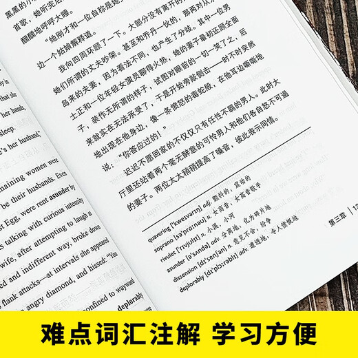 The Great Gatsby English-Chinese annotated edition, free bilingual audio in Chinese and English, Chinese-English bilingual edition, world classic literary classics, recommended extracurricular reading for junior high school students, English novels, original English version, full Chinese translation of the original work