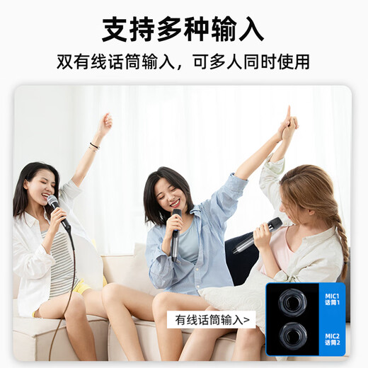 Xinke H15 dual 15-inch square dance outdoor Bluetooth speaker lever outdoor ktv bass player performance professional electric acoustic guitar bass folk singing instrument speaker dual microphone