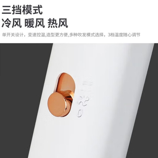 Yongri 6629 negative ion hair care internet celebrity model 1800W home high wind power hair dryer travel portable folding hair dryer hot and cold air quick-drying hair dryer elegant white