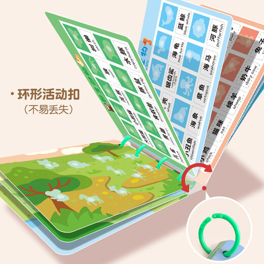 少年伴x森木 识字卡 益智启蒙宝宝智识字卡智力开发认字动脑蒙氏早教益智玩具毕业季儿童节礼物 动物篇