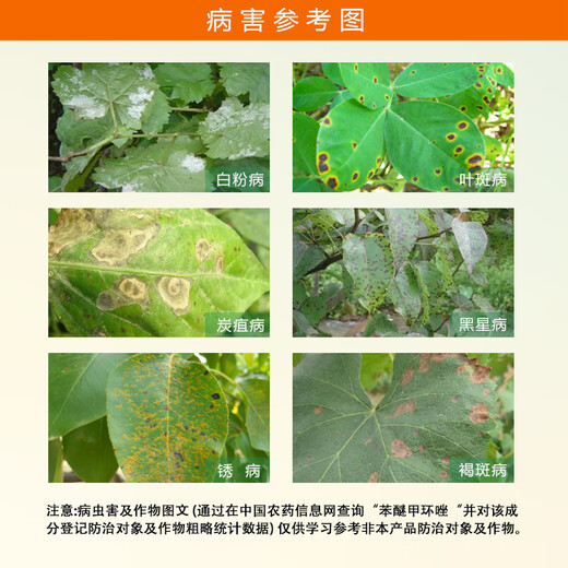 40% difenoconazole fungicide, benmimidazole, special pesticide for watermelon anthracnose, fungicide 1000g