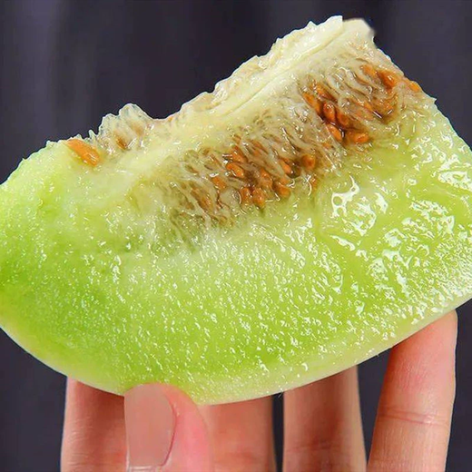 Xiangbin Jade Mushroom Melon Seed Seeds White Skin Green Flesh Super Sweet Ice Cream Xiangyugu Hami Melon Seeds Early Maturing Authentic Four Seasons Jade Mushroom Melon Seeds 10 Original