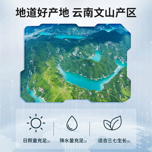 Beijing Tongrentang Sanqi Capsules Beijing Tongrentang Yunnan Wenshan Sanqi enhances immunity and gives health products from elders and parents. Panax notoginseng capsules 120 capsules*1 can