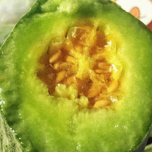 Dayu yangjiao honey melon seeds old varieties early maturing thin-skinned spring fruit melon seeds collection yangjiao honey muskmelon seeds 100 pieces x 3 bags