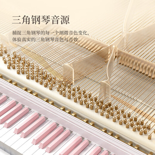 贝琪（Betsy）电钢琴重锤88键初学者成人儿童专业电子钢琴-B813白(粉键)+琴凳