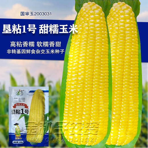Kennian No. 1 waxy corn seeds, yellow waxy corn seeds, Northeastern farmers' sticky corn seeds, yellow sticky corn old varieties, Kennian No. 1 200g