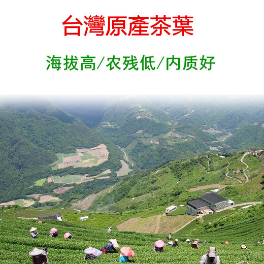 平茗台湾茶叶杉林溪高山茶新茶微浓香型原产乌龙茶自喝简装口粮可冷泡