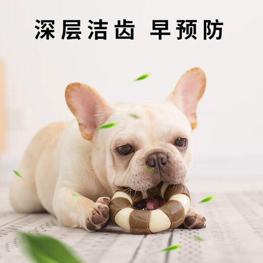 EETOYS Large Ring Dog Toy Eats and Plays Combining Teeth-Resistant Bite Cleaning Stick to Relieve Boredom in Alone Pet Supplies