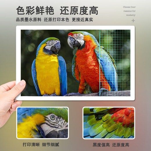
Shangqi is suitable for Epson L6276 L6278 L6290 L6268 L6279 L6298 6178 Printer ink 002 Four-color ink set