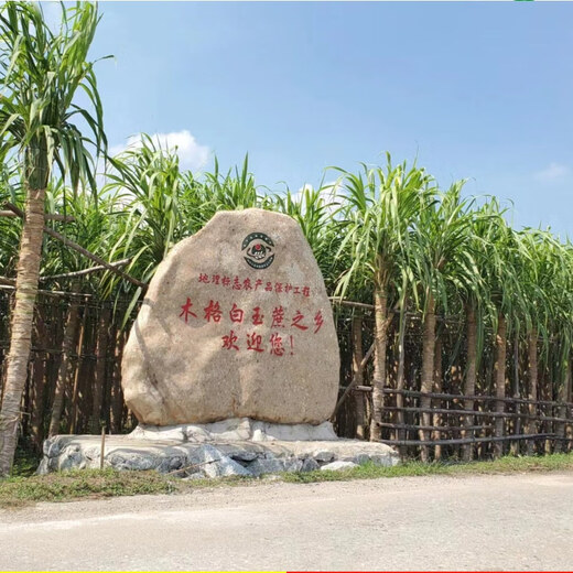 Asarum Guangxi Muge White Jade Sugar Cane Seeds Authentic Glass Crisp Seedlings Straight Hair From the Origin and Shipped with Buds 5 Roots
