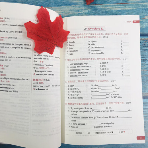 Französischer Grundwortschatz für Spezial 4 (passende APP zum Auswendiglernen von Wörtern)