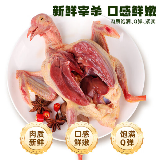 BOZAIJIA free-range pigeons in the forest, net weight 3.6 Jin [Jin equals 0.5 kg] 6 pieces in total, fresh earthy pigeon meat, free-range pigeon soup, direct source