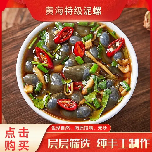 Wenzhou specialty garlic-flavored drunken mud snails, raw pickled yellow mud snails, fresh pickled without sand, 500g ready to eat, canned, garlic-flavored mud snails 500g/bottle, 1 bottle