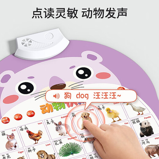 Xingxingzhou Säuglinge und Kleinkind Audio Early Education Spielzeug Kinder Pinyin Tabelle Kognitive Betrachten von Bildern und Lesungen und Lautsprechern Wandaufkleber Alle 5 Fotos - Charaktere/Obst und Gemüse/Tiere/Pinyin/Zahlen