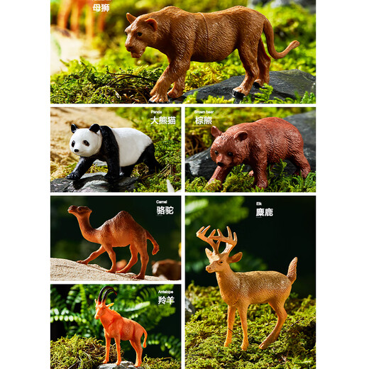 Wild Knight Children's Toys Animal World Boys Puzzle Soft Glue Model Model Set Box 40 Подарки на день рождения