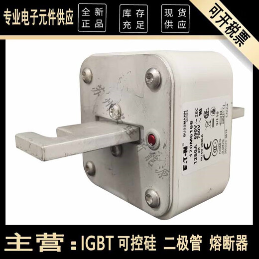 CNOBLE伊顿bussmann巴斯曼170M6166 170M6167 170M6168 170M6169熔断器 更多型号请咨询客服