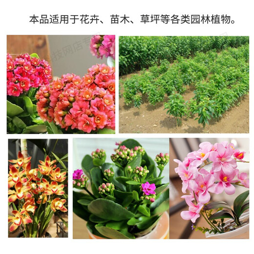 Guoguang Runerjia Guoguang methyl potassium dihydrogen phosphate flower seedlings and fruit trees to promote flower preservation and fruit resistance stress phosphorus and potassium fertilizer 1 kg
