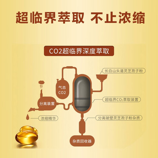 池润高浓缩灵芝孢子油软胶囊增强免疫力 破壁灵芝孢子粉精华萃取 阶段调理（4盒）