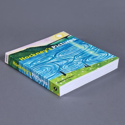 现货包邮 原版 Hockney's Pictures by David Hockney 大卫.霍克尼画册 绘画集 霍克尼的照片 英文原版