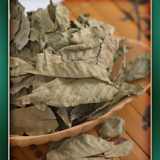 北京同仁堂青钱柳原叶茶江西野生古树原叶成叶茶正品金钱柳养生茶清钱柳无糖内廷上用 原叶青钱柳 5克