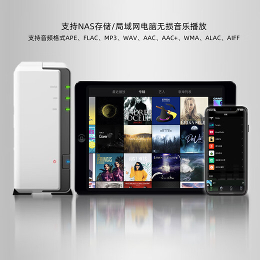 简族olio airplay2无线wifi蓝牙音频接收器适配器连接老式功放胆机播放器有源音箱音响发烧级HIFI音质 黑色