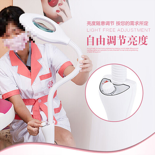 Meng Qier Lámpara de belleza Lámpara de bordado con patrón LED Luz fría Manicura portátil, pestañas, acné, acné, cejas Cirugía microplástica Lámpara de pie Versión de 65 vatios con atenuación táctil de polea