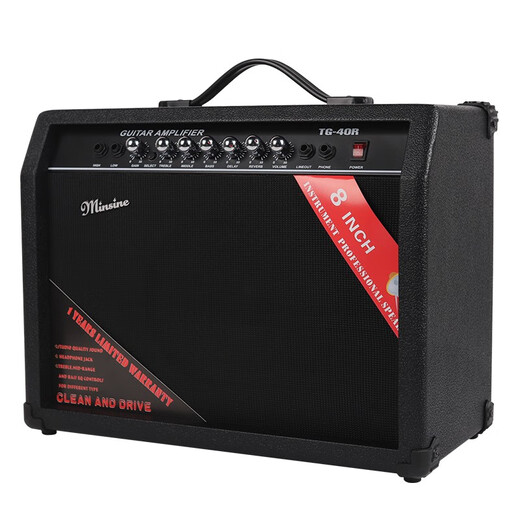 Minsine Guitar Speaker Folk Acoustic Guitar Playing Singing Bass Street Roadshow Outdoor Singing Portable Professional Audio Plug-in Version 40W (Double-use Bakelite)