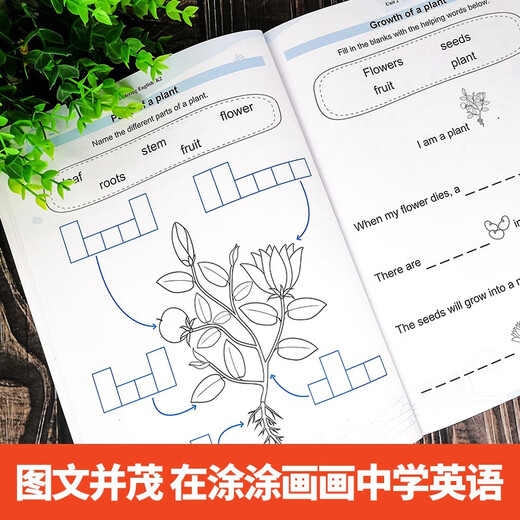 Imported original English version | Singapore kindergarten K2 English proficiency textbook for large classes HiMastering English K2