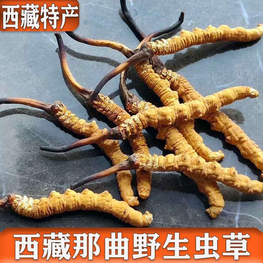 Naqu прямые волосы подлинные дикие тибетские высоко высокие кордицепсы sinensis select