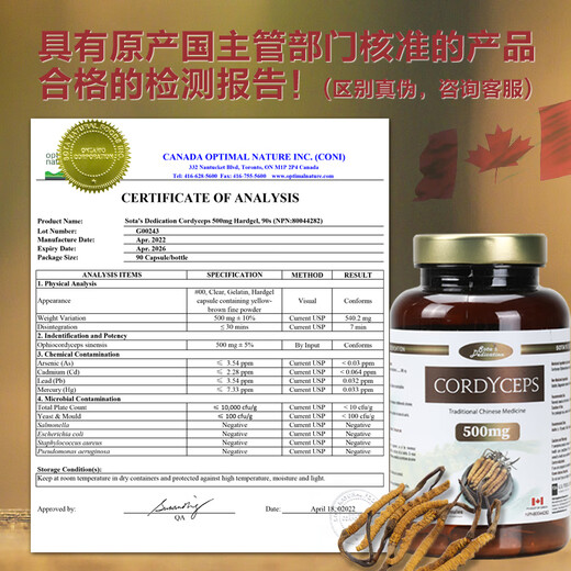 Sota's Dedicat Canada Original importé Cordyceps Mycelium Cordyceps Capsules 90 Capsules / bouteille de cadeaux du festival de la mi-automne