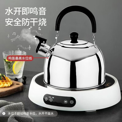 Runhuanian travel home 2L3L4L kettle stainless steel flat bottom sound kettle induction cooker gas stove universal and durable 3000ml
