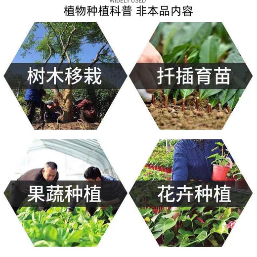 50% indolebutyric acid, indolenaphthalene acetic acid, high concentration rooting agent, rooting powder for seedlings, transplanting and cuttings to promote rooting. 30 bags (1g/bag) can be stored for 2 years without opening.