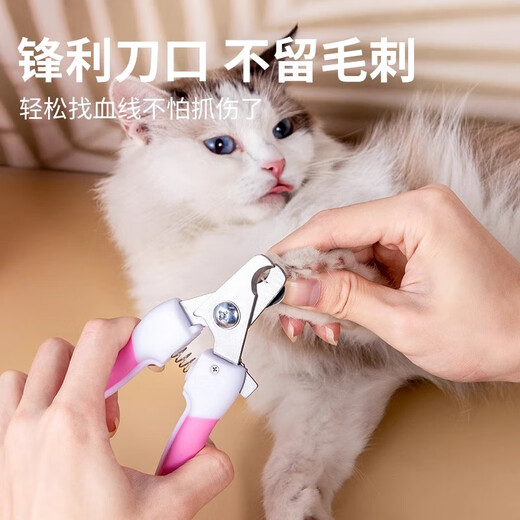 Nail scissors for pets, cat scissors artifact manicure tools, cat paw set, pet scissors blue (scissors + file)-16cm