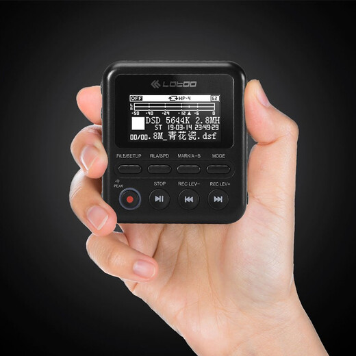 Lotoo PAW 1-64G professional recorder interview conference lawyer learning special recorder DSD portable HiFi player MP3 PAW 1 (64G) standard without external microphone