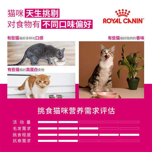 Royal Adult Cat Food Intestine Comfort EP42 General Food 400g for more than December